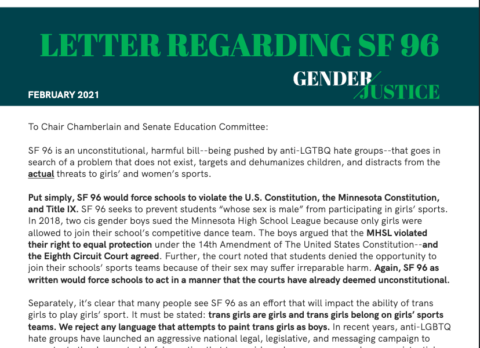 Read Advocacy Director Erin Maye Quade’s Testimony Against SF 96