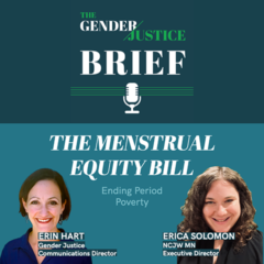 Menstrual Equity Legislation