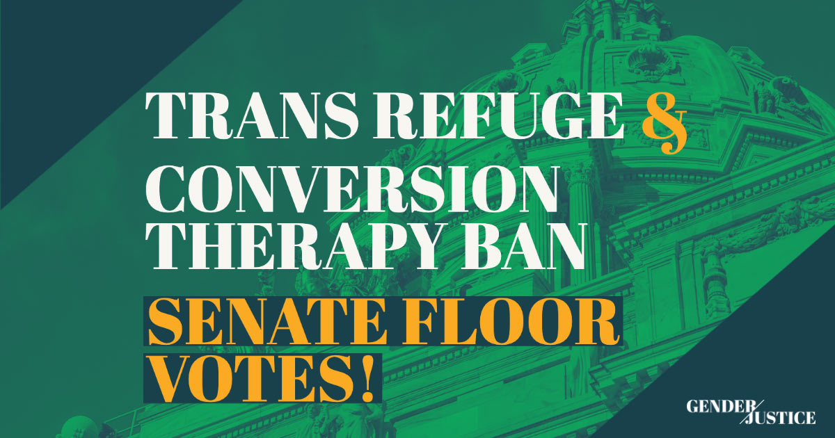 Join us to Rally at the Senate Floor Vote for the Trans Refuge Bill