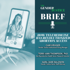 How Telemedicine Revolutionized Abortion Access